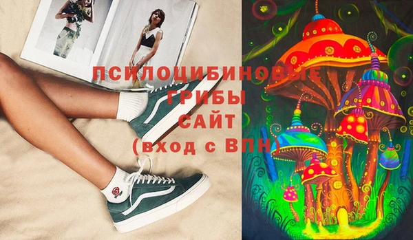соль ск Волосово