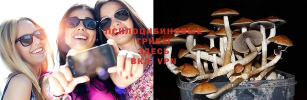 шишки Вяземский