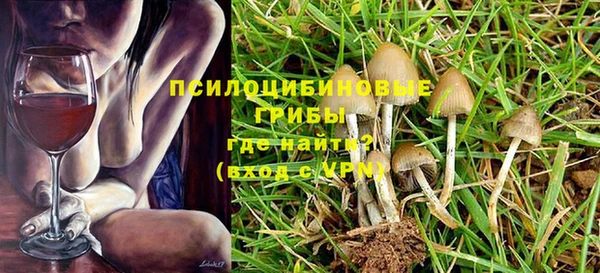 соль ск Волосово