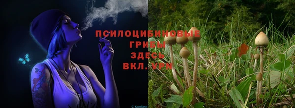 a pvp Вязьма