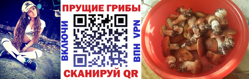 наркошоп  Верхотурье  MEGA онион  Псилоцибиновые грибы прущие грибы 